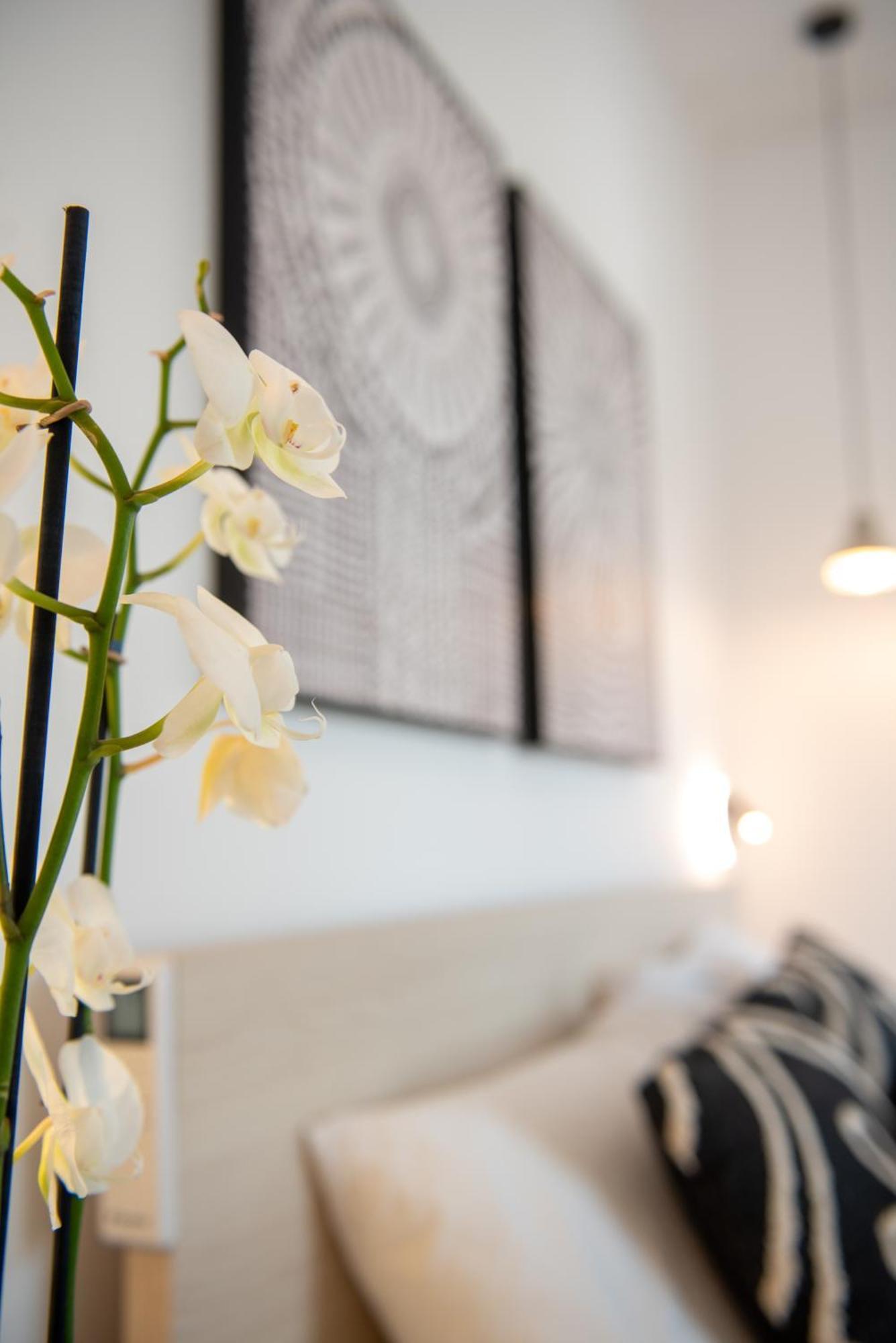 Tiffanys Villas Mykonos Town ภายนอก รูปภาพ